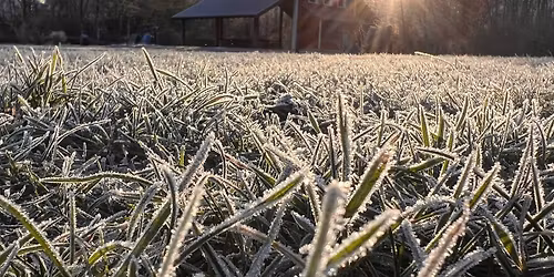 City Nature Walk - Confluence Park