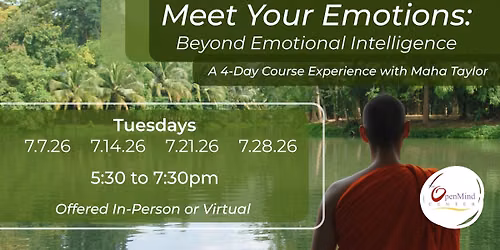 Meet Your Emotions: Beyond Emotional Intelligence