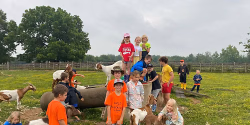 Surviving the Wild: Pioneer Camp