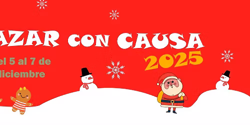 Bazar con Causa 2025