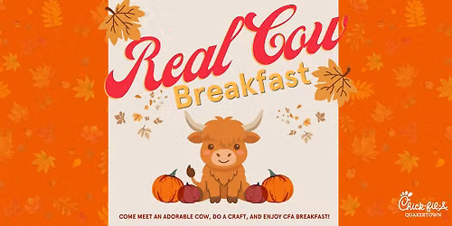 Real Cow Breakfast