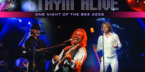 Stayin' Alive One Night of The Bee Gees