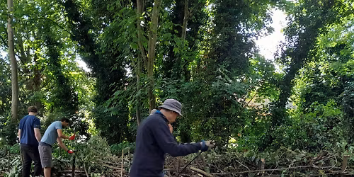 How to Create Habitat Structures