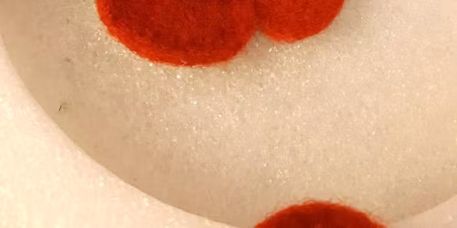 \u00a316 Needlefelt a Poppy Brooch