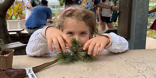 Family Program: Exploring Leaf Shapes (On-site Drop-in Program)