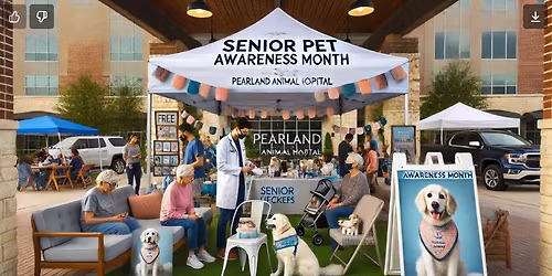 Senior Pet Awareness Month