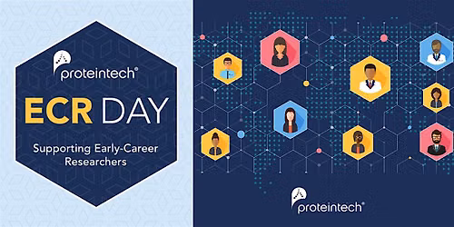 Post-PhD Pathways: Navigating Academia, Industry, and Everything Between