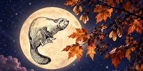Full Beaver Moon Yoga + Sound Bath