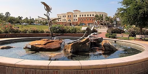 Safety Harbor Group Run 