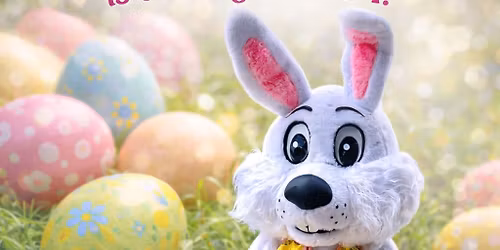 The Bunny \ud83d\udc30 is Back at CVM \u2728