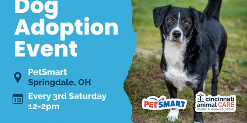 Dog Adoption Event at PetSmart Springdale, OH