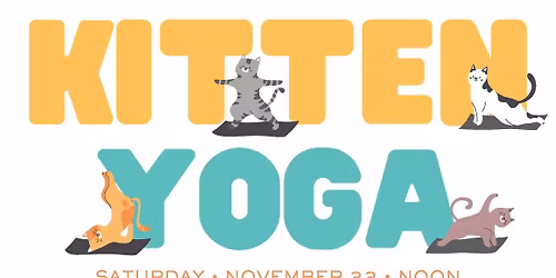 Kitten Yoga