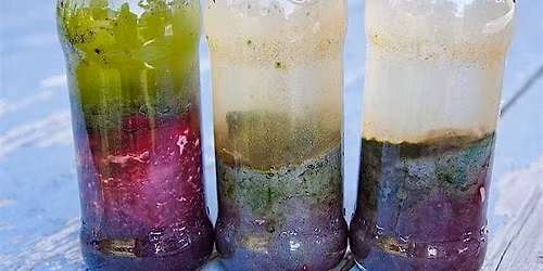 Copy of For Ages 6-13: Build an Ecosystem!