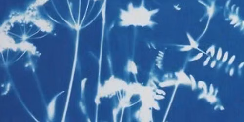 Cyanotype Print Making
