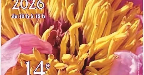 F\u00eate des Plantes - 5 Avril - Magnac Laval (87)