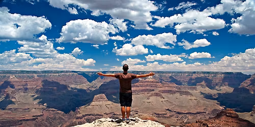 Museum Club Auction Cancelled