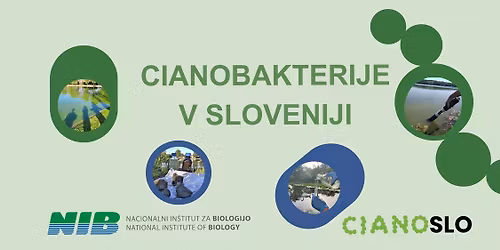 Interaktivna razstava: Cianobakterije v Sloveniji