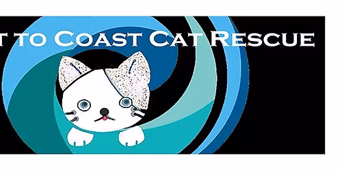 Kitten and Cat Adoption Day Animates Silverdale