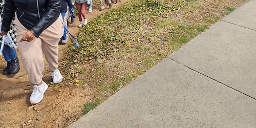 Neighborhood Walk: Lewis Mountain 