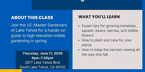 Home Grown Tahoe - High Elevation Edible Gardening in Summer