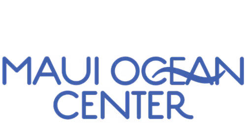 Tandy Mackenzie: Hawai\u2018i\u2019s Greatest Opera Star