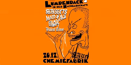 Lumpenpack in der Nachbarschaft #3: Skinsects,Maid of Ace,Collaps,Violent Times