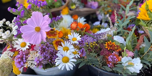 Grow Your Own Cut Flowers workshop