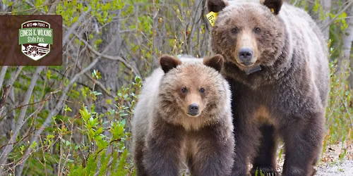 Living with Wildlife: Mammals