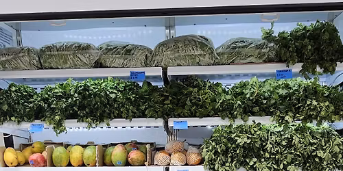 Avyaan grocery grand opening 