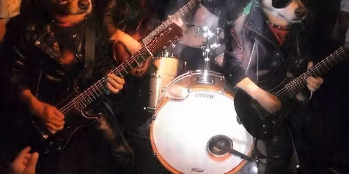 Iron Chiwawa returns to Skidmores!!