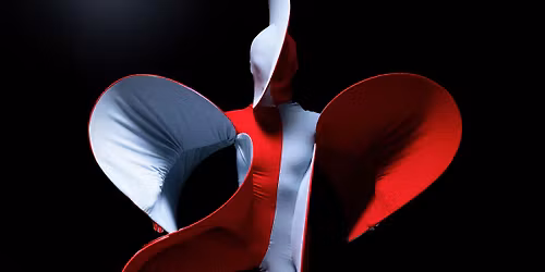 Amanda Wisselgren - Symbios