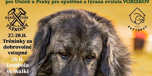 HCT pro psy v \u00fatulku VO\u0158\u00cd\u0160KOV