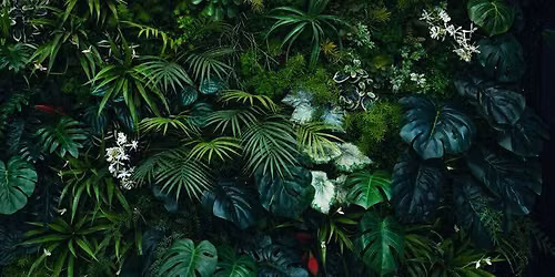 Plants Gone Wild!