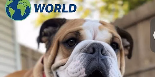 Coco\u2019s AI world 