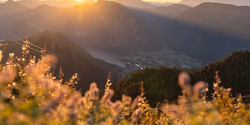 Sonnenaufgangsfahrt + Fr\u00fchst\u00fcck 
