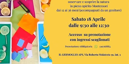 Stanza della primavera