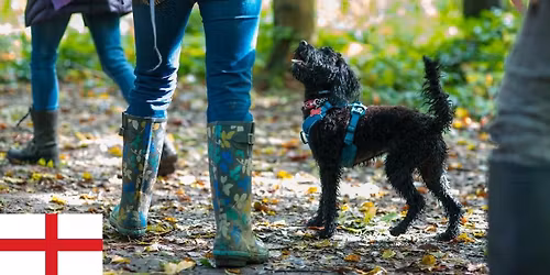 Rainbow Pooch in the Park (Birmingham) 