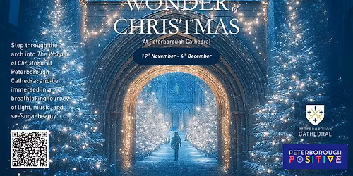 NEW! The Wonder of Christmas: Immersive Light and Sound Display