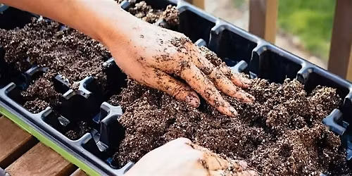 Potting & Seed Starting Party: Carrboro