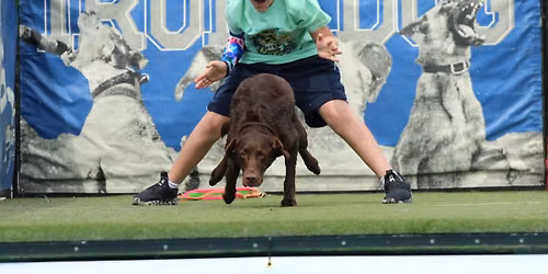 Jumping in Jersey with Delmarva DockDogs\u00ae