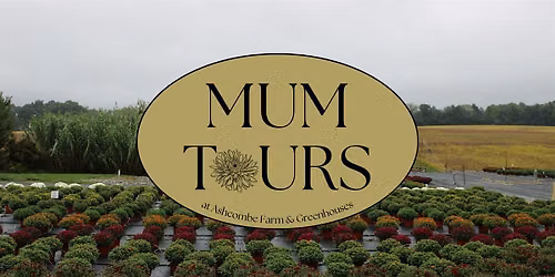 Mum Tours