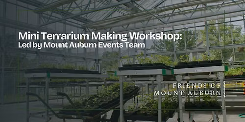 Build Your Own Mini Terrarium Workshop