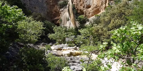 \u03a0\u0391\u03a1\u039d\u03a9\u039d\u0391\u03a3 (\u039a\u0391\u03a4\u0391\u03a1\u03a1\u0391\u039a\u03a4\u0395\u03a3 \u039b\u0395\u03a0\u0399\u0394\u0391\u03a3 - \u0391\u03a1\u039a\u0391\u0394\u0399\u0391)