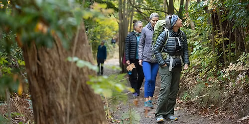 Forest Bathing\/Shinrin-Yoku Walk at Para Wirra Conservation Park