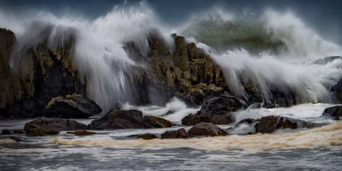 Untamed - Ecstatic Dance Wave w\/ Stacey Butcher