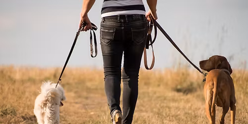 AKC FIT Dog Walk - Detweiler Park, Dauphin