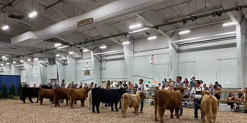 York State Fair