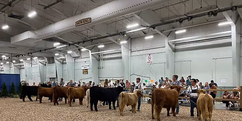 York State Fair
