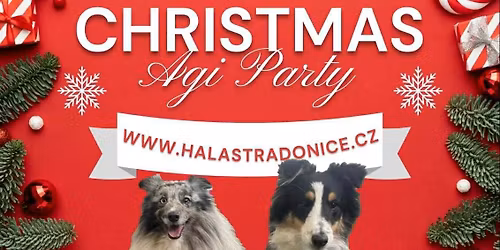 \ud83c\udf32 \u2603\ufe0f Christmas Agi P\u00e1rty \u2603\ufe0f \ud83c\udf32