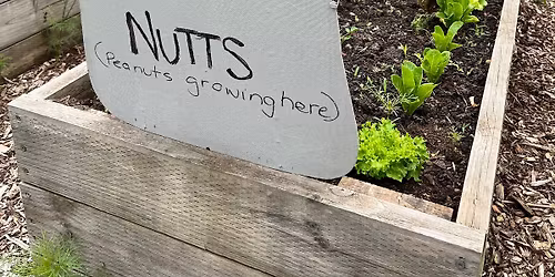 Social Gardening
